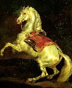 Theodore   Gericault cheval cabre, dit tamerlan oil painting reproduction